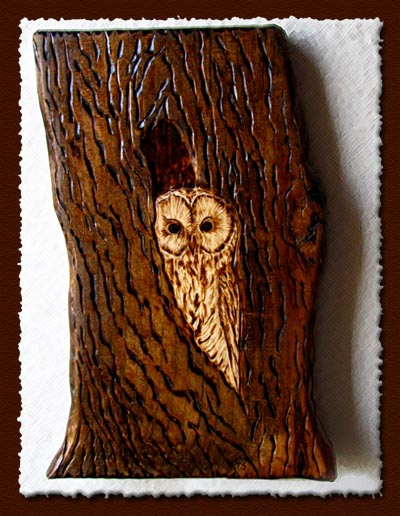 ural owl tanja sova pyrography